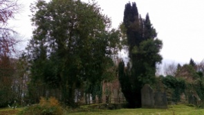 Ballymackeogh church and graveyard, Newport, Co. Tipperary
